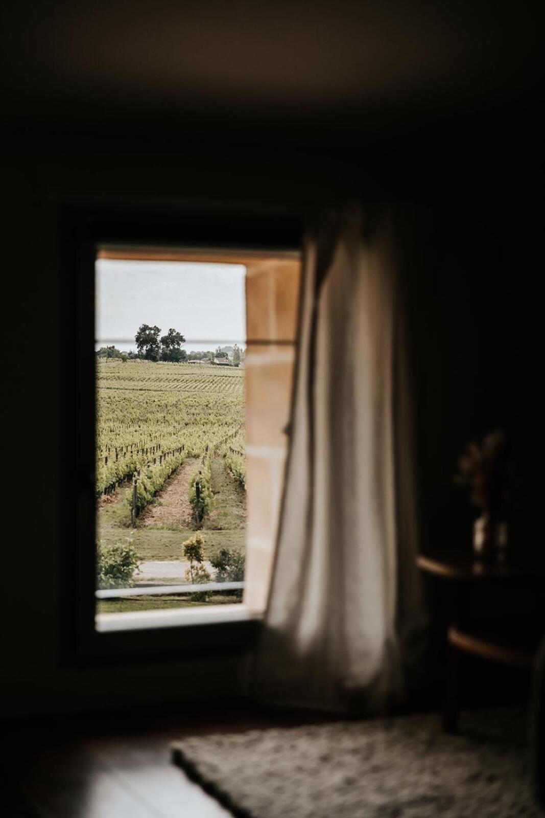 Chateau La Grande Clotte Lussac  Ruang foto
